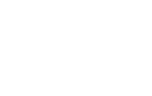 US icon