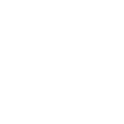 VISION icon